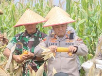 1,1 Ton Jagung Dipanen Polres Probolinggo Demi Swasembada Pangan