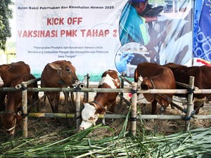 Pemprov Jateng Bakal Vaksinasi PMK Sejuta Hewan Ternak pada 2025