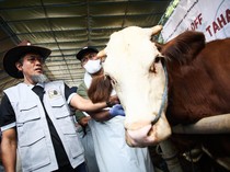 Pemprov Jateng Terjunkan 3.000 Petugas buat Vaksinasi PMK Hewan Ternak