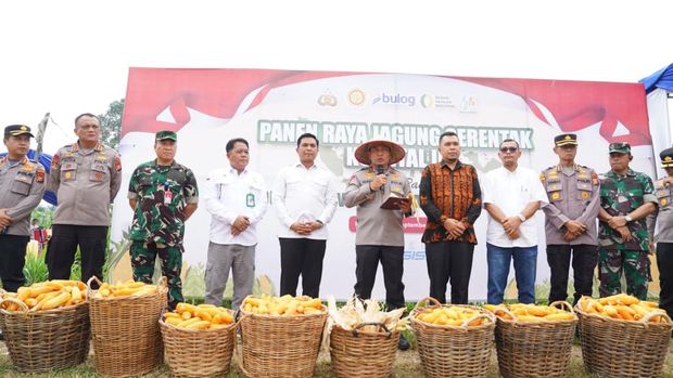 Polda Riau panen raya 18 ton jagung di lahan seluas 8,2 hektare di Kota Pekanbaru, Minggu (27/9/2025).