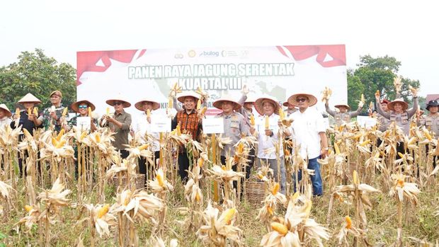Polda Riau panen raya 18 ton jagung di lahan seluas 8,2 hektare di Kota Pekanbaru, Minggu (27/9/2025).