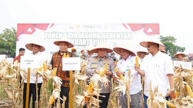 Polda Riau panen raya 18 ton jagung di lahan seluas 8,2 hektare di Kota Pekanbaru, Minggu (27/9/2025).