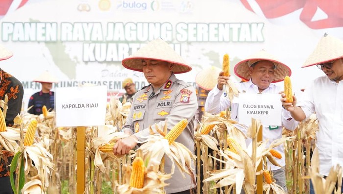 Polda Riau panen raya 18 ton jagung di lahan seluas 8,2 hektare di Kota Pekanbaru, Minggu (27/9/2025).