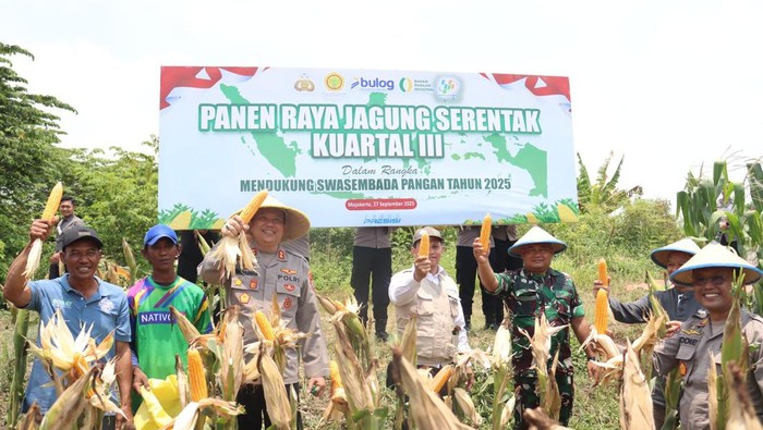 Polres Mojokerto Kota bersama poktan Kelurahan Blooto menggelar panen jagung kuartal III 2025