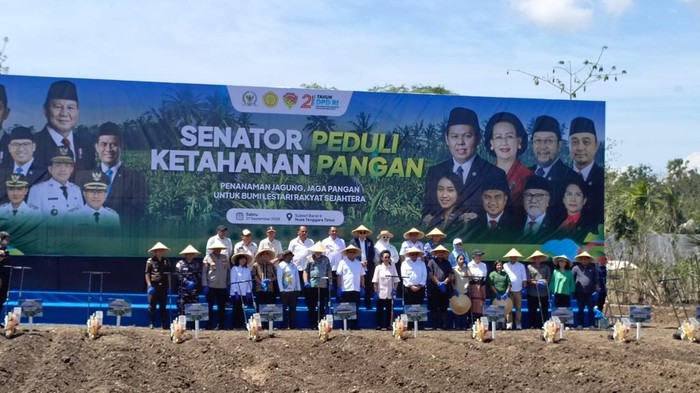 Tanam Jagung di NTT, DPD RI Kawal Asta Cita Presiden Bidang Pangan