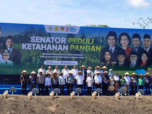 Tanam Jagung di NTT, DPD RI Kawal Asta Cita Presiden di Bidang Pangan
