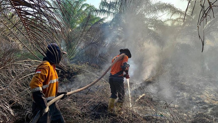 Upaya pemadaman karhutla di Gelumbang yang terbakar selama 3 hari.