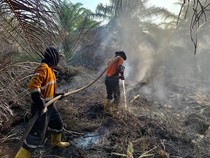 Satgas Karhutla Fokus Padamkan Wilayah Gambut di Muara Enim dan OKI