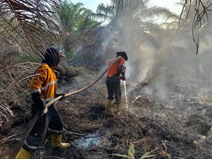 Satgas Karhutla Fokus Padamkan Wilayah Gambut di Muara Enim dan OKI