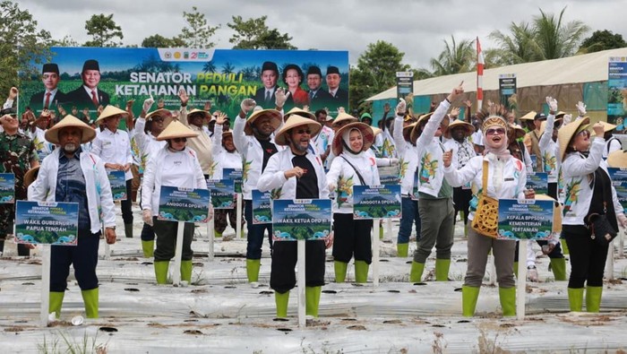 DPD RI canangkan gerakan peduli ketahanan pangan lewat penanaman benih jagung di Mimika.