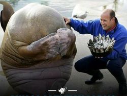 Hal-hal Aneh yang Diposting Orang di Internet, Kamu Mungkin Belum Tahu