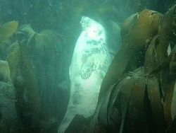 Hal-hal Aneh yang Diposting Orang di Internet, Kamu Mungkin Belum Tahu