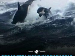 Hal-hal Aneh yang Diposting Orang di Internet, Kamu Mungkin Belum Tahu