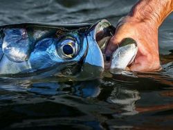 Hal-hal Aneh yang Diposting Orang di Internet, Kamu Mungkin Belum Tahu