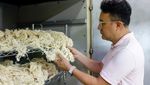 Inovasi Tekstil Berkelanjutan Taiwan, Serat Pisang Jadi Kain Modern