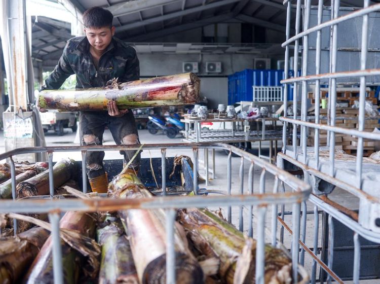 Inovasi Tekstil Berkelanjutan Taiwan, Serat Pisang Jadi Kain Modern