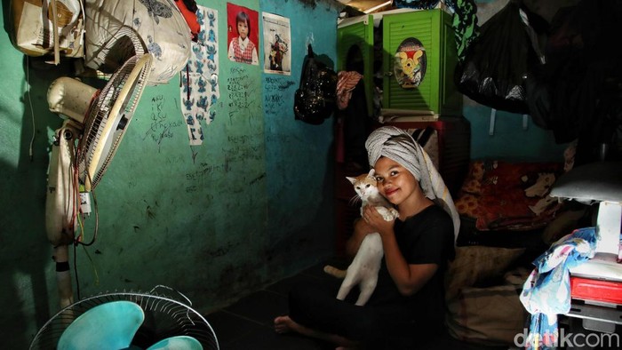 Di kawasan Ancol, Kecamatan Pademangan, Jakarta Utara, terdapat sebuah permukiman padat bernama Kampung Tongkol yang dijuluki 