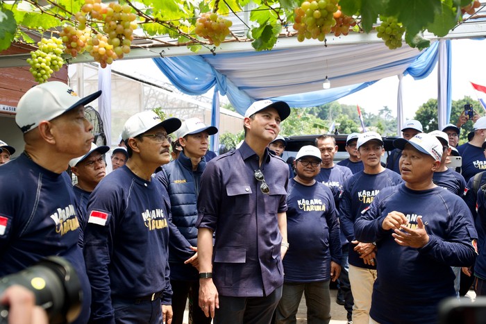 Ketua Umum Karang Taruna Budisatrio Djiwandono, Menteri Sosial Saifullah Yusuf (Gus Ipul) dan Wakil Menteri Sosial Agus Jabo Priyono, Budisatrio meninjau langsung lapak bibit tersebut pada Minggu (28/9/2025).