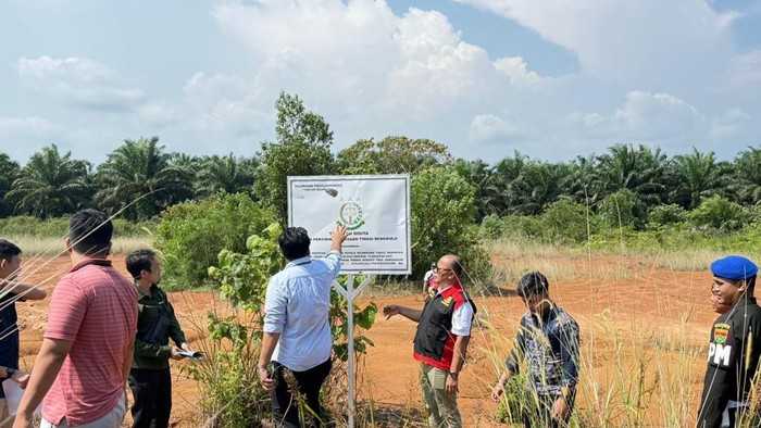 Lahan milik tersangka korupsi tambang yang disita Kejati Bengkulu.
