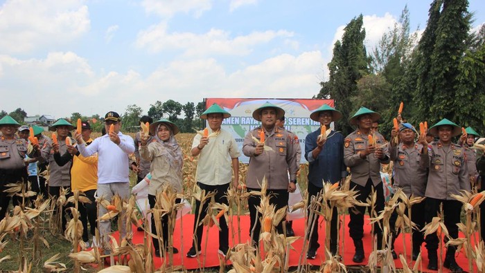 Panen jagung dilakukan oleh Polres Tuban di kuartal III. Kegiatan ini dilaksanakan sebagai bagian dari upaya Kepolisian dalam mendukung  program ketahanan pangan dan pertanian berkelanjutan yang tengah digalakkan oleh pemerintah saat ini.