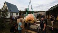 Rekor baru Rusia tercetak di musim panen 2025, saat Chusov hampir mencapai impiannya menumbuhkan labu seberat satu ton. Pada tahun 2024, Chusov menanam labu seberat 817 kilogram, tetapi ia bertekad untuk memecahkan rekor satu ton. REUTERS/Yulia Morozova