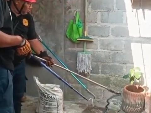 Petugas Damkar mengevakuasi ular Kobra Jawa 1 meter dari rumah warga di Gunungkidul, Minggu (28/9/2025).