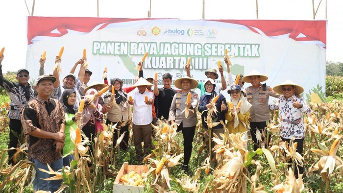 Kapolres Kediri AKBP Bramastyo Priaji ikut serta proses panen jagung bersama petani