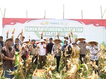 Bersama Petani, Kapolres Kediri Ikut Panen Raya Jagung Kuartal III