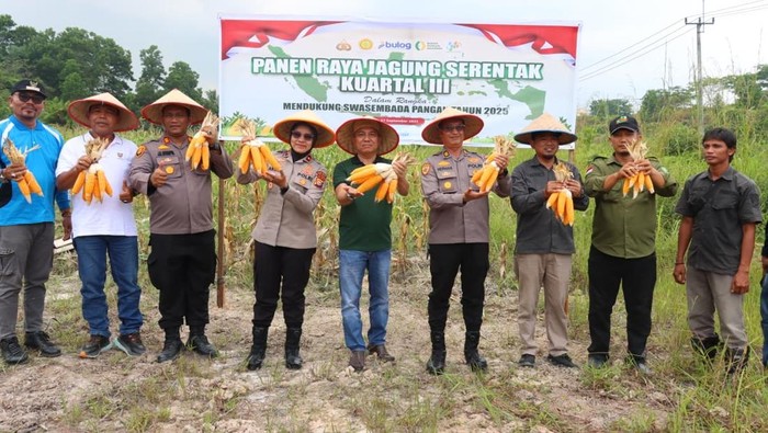 Polres Siak melakukan panen raya jagung.