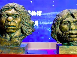 Tengkorak Berusia 1 Juta Tahun Ungkap Asal Usul Nenek Moyang Manusia Modern