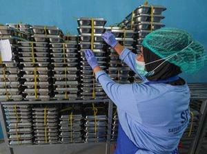 Kemenkes Rilis Edaran Percepat Sertifikasi Higiene SPPG demi Jamin MBG Aman