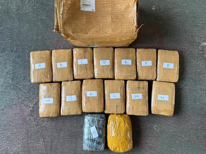 Barang bukti 15 Kg ganja yang disita polisi dari penangkapan di Bekasi (dok.istimewa)