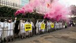 Bertopeng dan Masuk Kandang, Aktivis Greenpeace Protes di Konferensi PBB