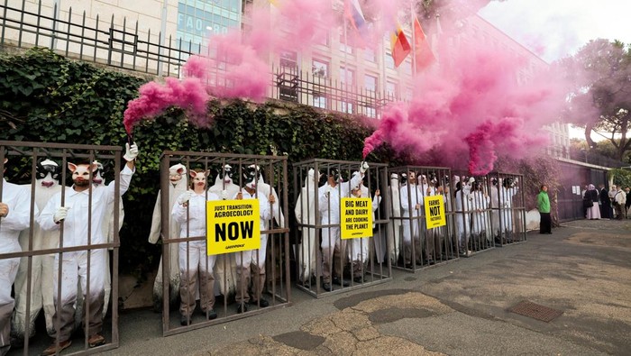 Sejumlah aktivis Greenpeace melakukan aksi protes dengan cara tak biasa saat para delegasi tiba di konferensi PBB di Roma, Italia, Senin (29/9/2025). Mereka mengenakan topeng dan masuk ke dalam kandang sebagai simbol perlawanan terhadap sistem pertanian industri yang dinilai mengekang petani kecil. REUTERS/Remo Casilli