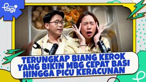Video: Terungkap Biang Kerok yang Bikin MBG Cepat Basi hingga Picu Keracunan