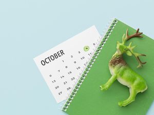 10 Oktober Hari Apa? Ini Daftar Peringatan Penting