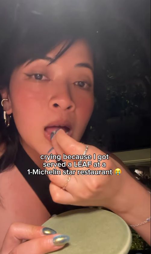 Cuma Dapat Daun di Restoran Bintang Michelin, Vlogger Ini Kaget.