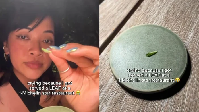 Cuma Dapat Daun di Restoran Bintang Michelin, Vlogger Ini Kaget.