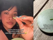 Cuma Dapat Daun di Restoran Bintang Michelin, Vlogger Ini Kaget