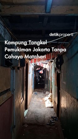 Video: Kampung Tongkol Pemukiman Jakarta Tanpa Cahaya Matahari