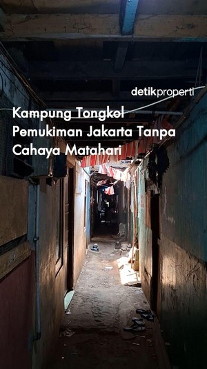 Video: Kampung Tongkol Pemukiman Jakarta Tanpa Cahaya Matahari