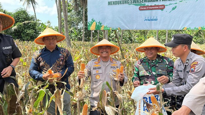 Kapolresta Cilacap, Kombes Budi Adhy Buono, saat menggelar panen raya jagung serentak di Dusun Cigintung, Kelurahan Kutawaru, Kecamatan Cilacap.