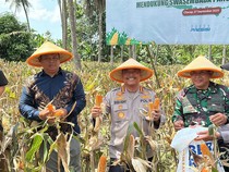 Dukung Swasembada Pangan, Polresta Cilacap Gelar Panen Raya Jagung