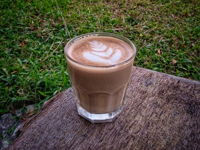 Kopi jamur atau chagaccino. Ilustrasi.