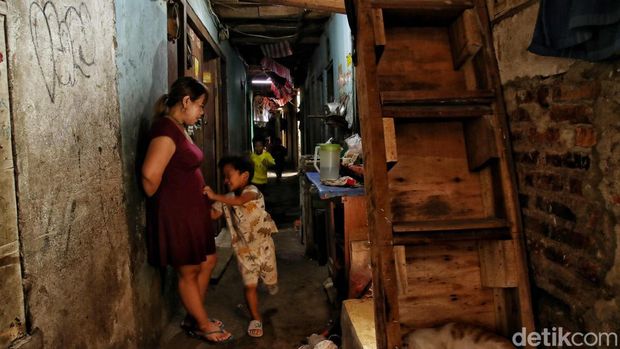 Di tengah hiruk pikuk ibu kota, ada sebuah kawasan padat bernama Kampung Tongkol di Ancol, Pademangan, Jakarta Utara. Namun, berbeda dengan permukiman lain di Jakarta, kampung ini dijuluki sebagai 