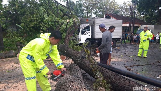 Petugas memotong pohon tumbang menimpa truk boks di jalur lingkar utara Boyolali, Senin (29/9/2025).