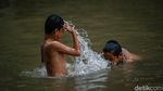 Potret Anak-anak Asyik Berenang di Kalimalang Saat Hujan