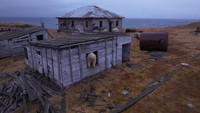 Beruang kutub beristirahat di bawah sinar matahari Arktik di depan fasilitas penelitian yang ditinggalkan sejak runtuhnya Uni Soviet. Foto: Instagram @makhorov/Handout via REUTERS