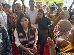 Meutya Hafid Hadirkan Internet Gratis 12 Bulan, Genjot Ekonomi Digital Desa