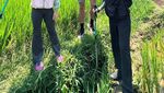 Potret Liburan Keluarga Seru ala Ririn Ekawati: Trekking ke Curug Leuwi Asih